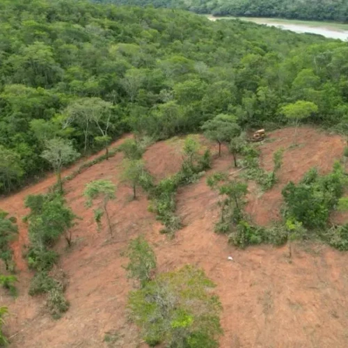 Desmatamento em Goiás atinge menor índice da história, aponta levantamento do Inpe