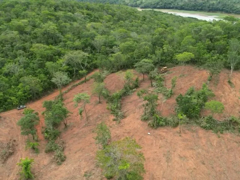Desmatamento em Goiás atinge menor índice da história, aponta levantamento do Inpe
