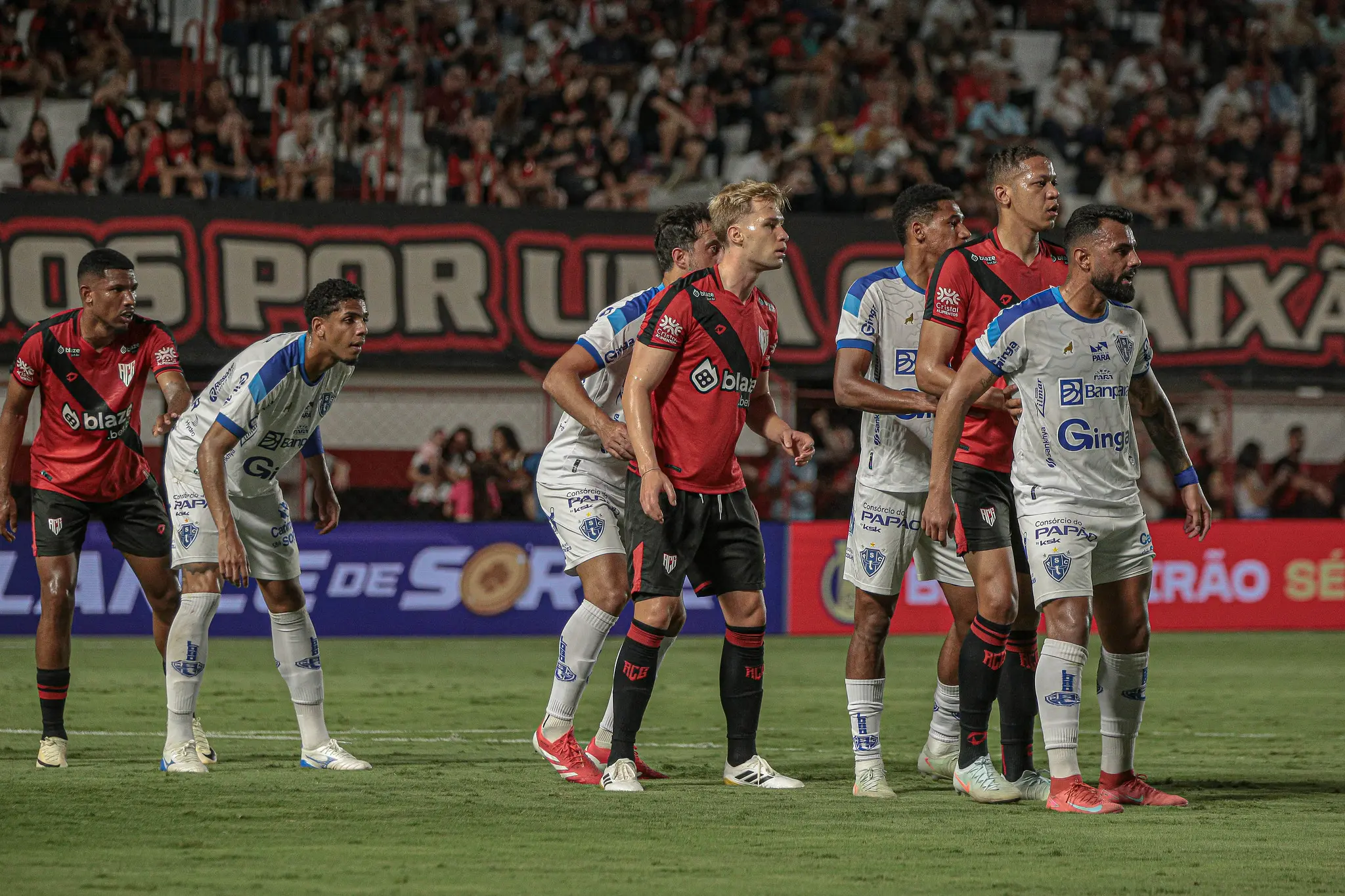 54893456870_d572f428c8_k