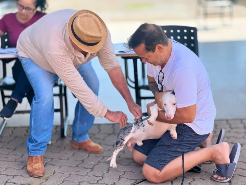 Goiânia passa a oferecer vacinação antirrábica permanente em 10 pontos da cidade