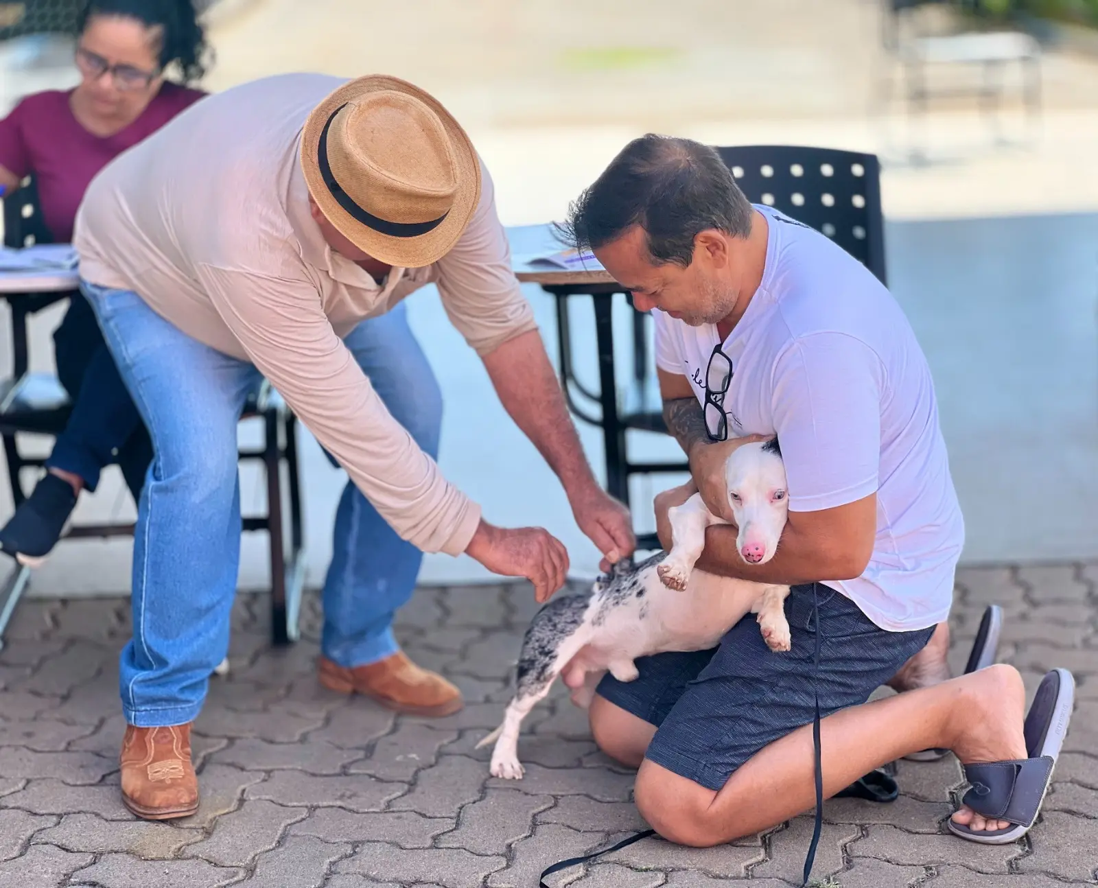 Goiânia passa a oferecer vacinação antirrábica permanente em 10 pontos da cidade