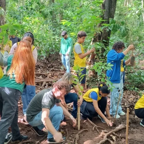 Virada ambiental 2025 - Amma
