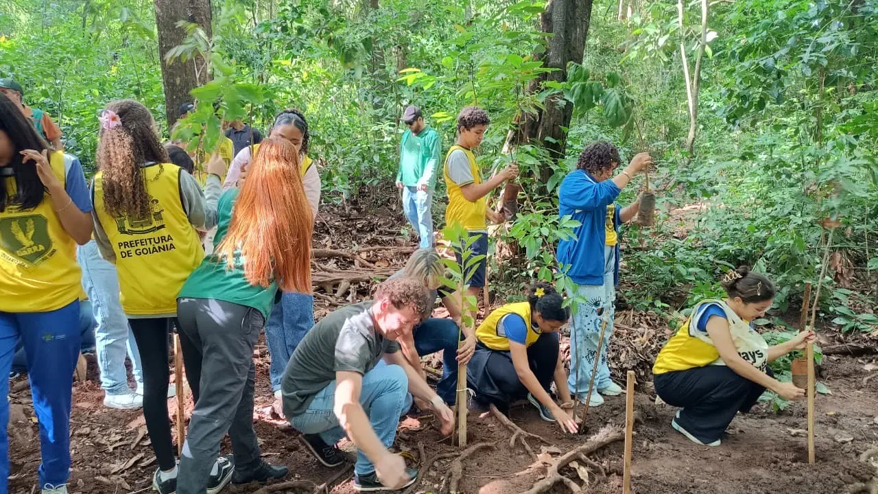 Virada ambiental 2025 - Amma