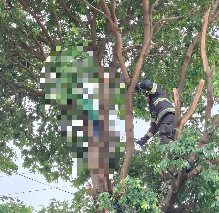 Imagem do WhatsApp de 2025-11-09 à(s) 17.39.54_86f91200