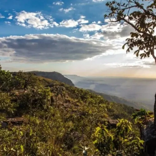 Reconhecimento nacional na agenda de créditos de carbono foi levado à COP30 - Foto divulgação Semad
