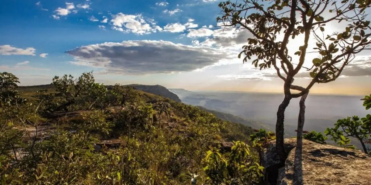 Reconhecimento nacional na agenda de créditos de carbono foi levado à COP30 - Foto divulgação Semad