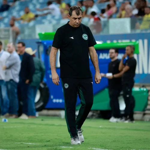 Técnico Fábio Carille (Foto - Goiás EC)