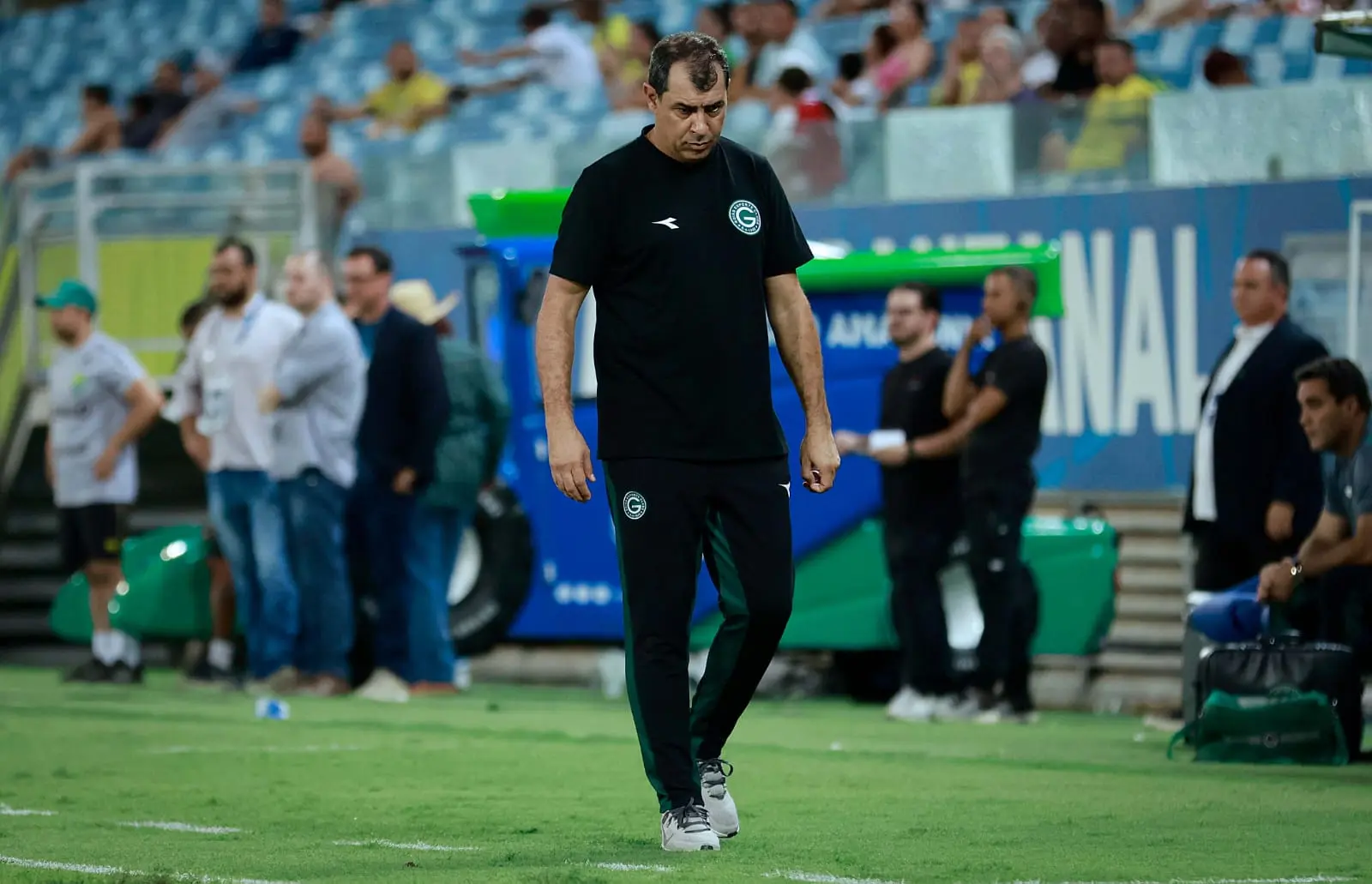 Técnico Fábio Carille (Foto - Goiás EC)