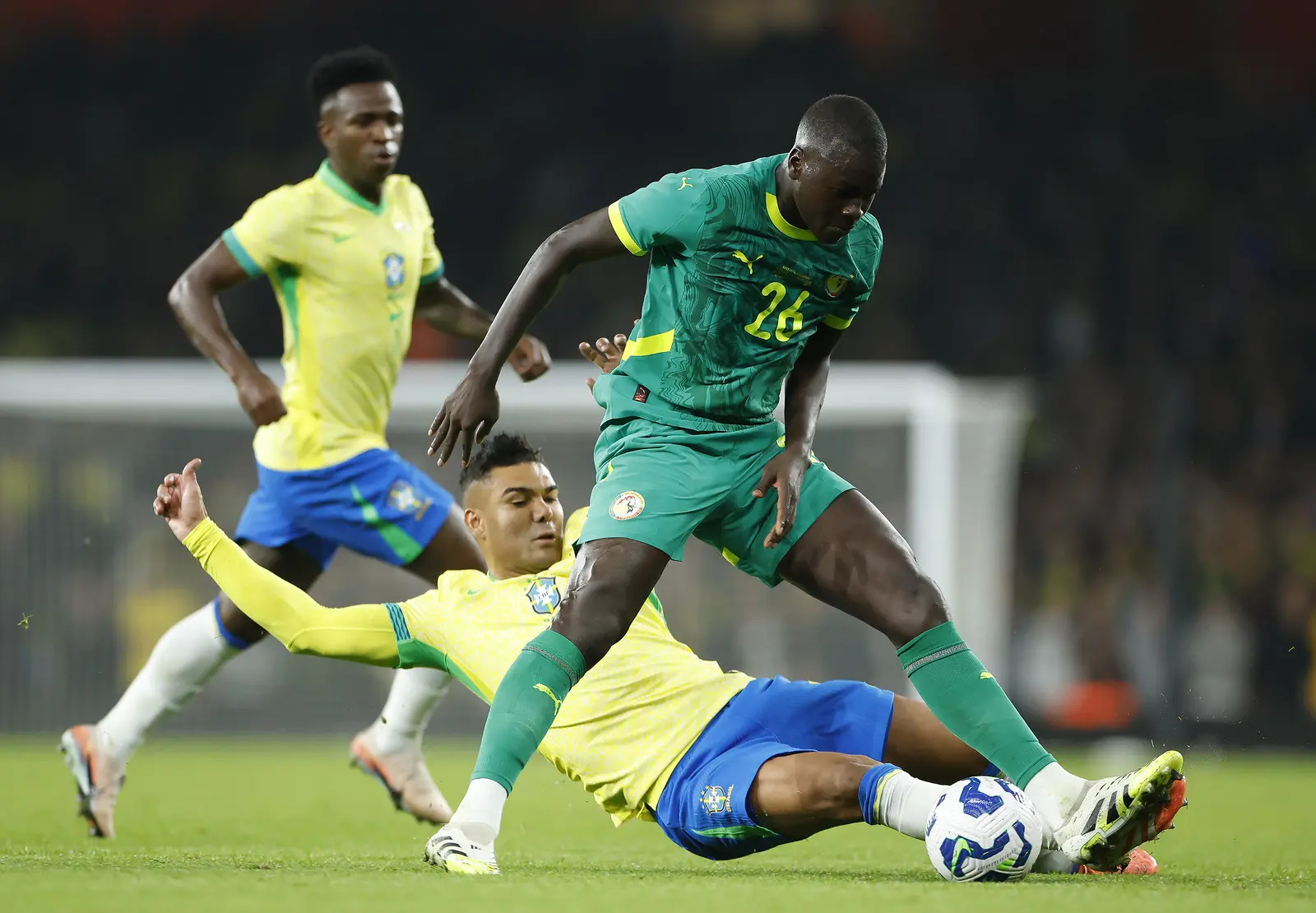 54924713202_2db6f32a81_h