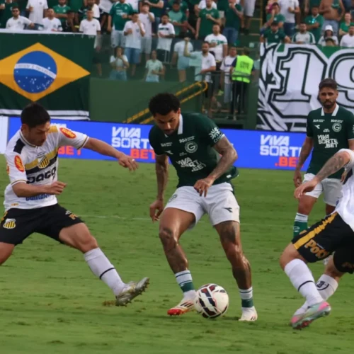 WhatsApp Image 2025-11-16 at 17.41.01