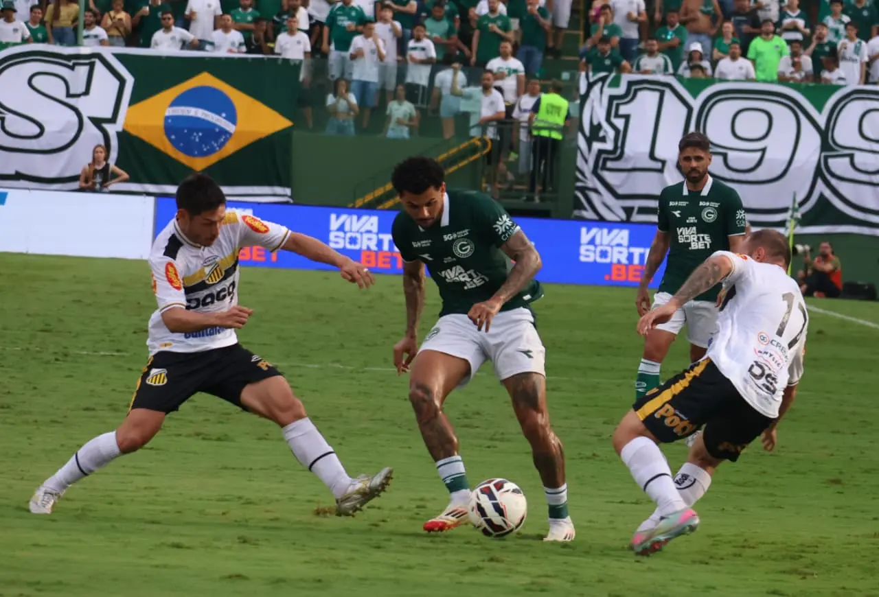 WhatsApp Image 2025-11-16 at 17.41.01