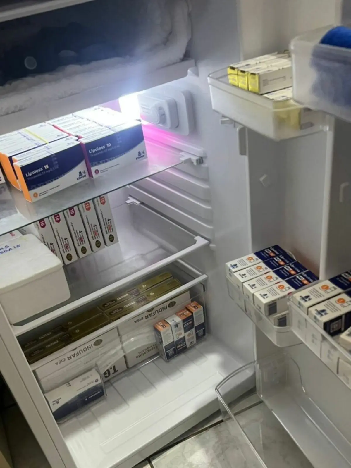 Produtos armazenados pela suspeita Foto divulgação PCGO