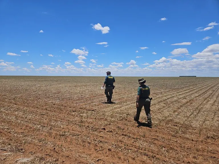 Ibama aplica mais de R$ 1 milhão em multas por cultivo ilegal de transgênicos em Goiás