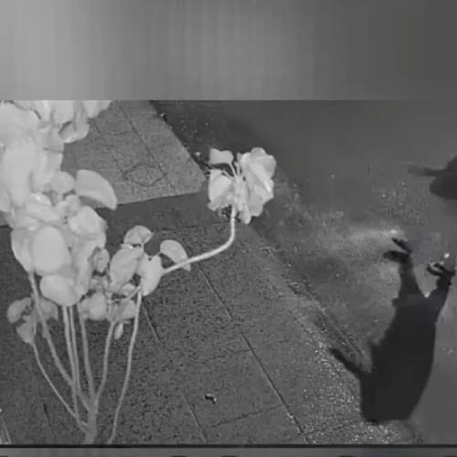 Pessoa caminha em direção ao terreiro onde joga líquido e põe fogo - Foto reprodução de vídeo redes sociais