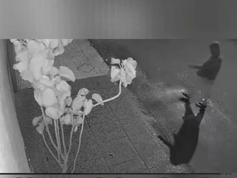 Pessoa caminha em direção ao terreiro onde joga líquido e põe fogo - Foto reprodução de vídeo redes sociais