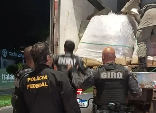 PF e PMGO apreendem meia tonelada de cocaína transportada em caminhão com lacres SIF falsificados