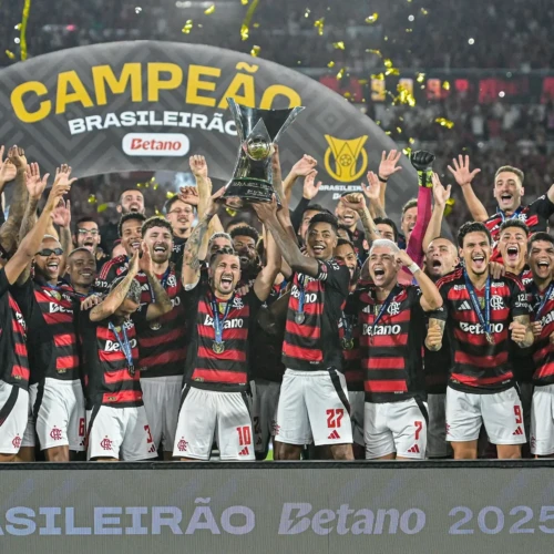 Flamengo - Campeão Brasileiro 2025