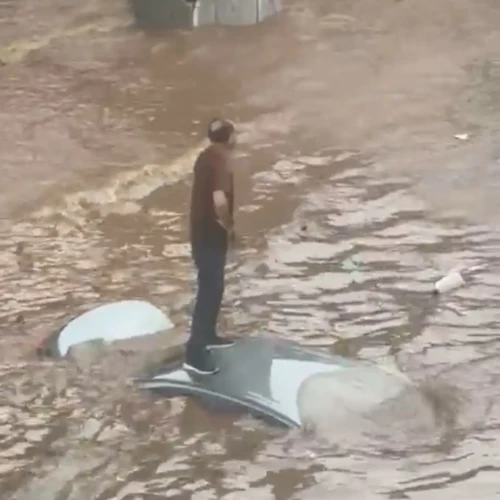 homem ilhado botafogo