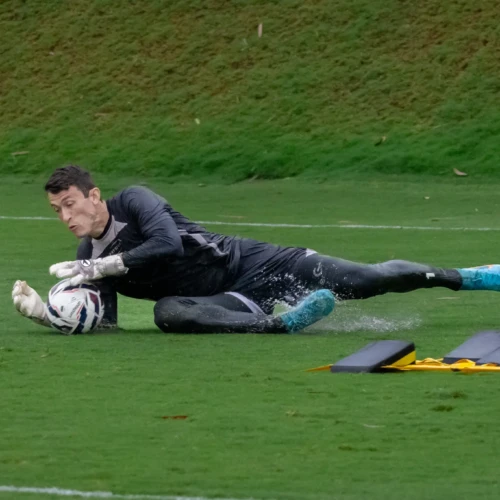 54905563697_14f95f68d3_k