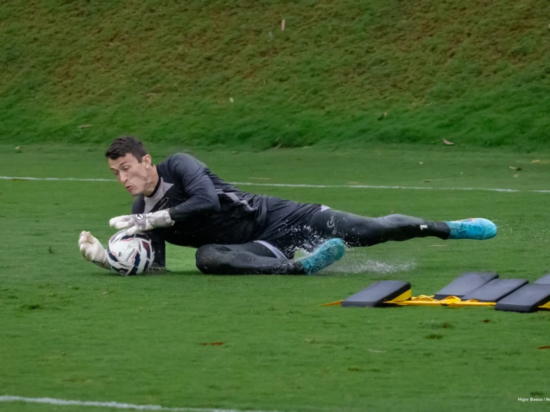 54905563697_14f95f68d3_k