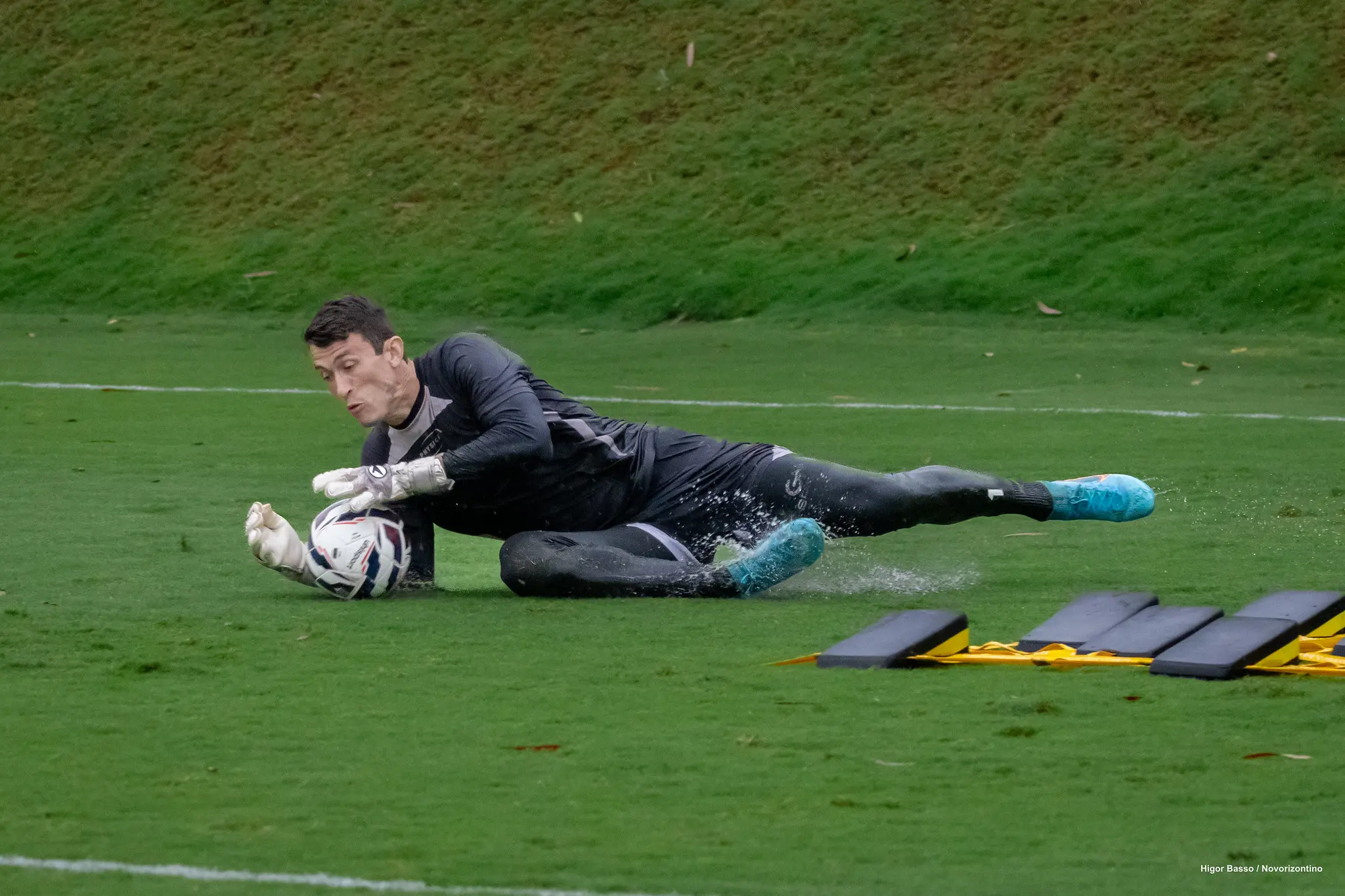 54905563697_14f95f68d3_k