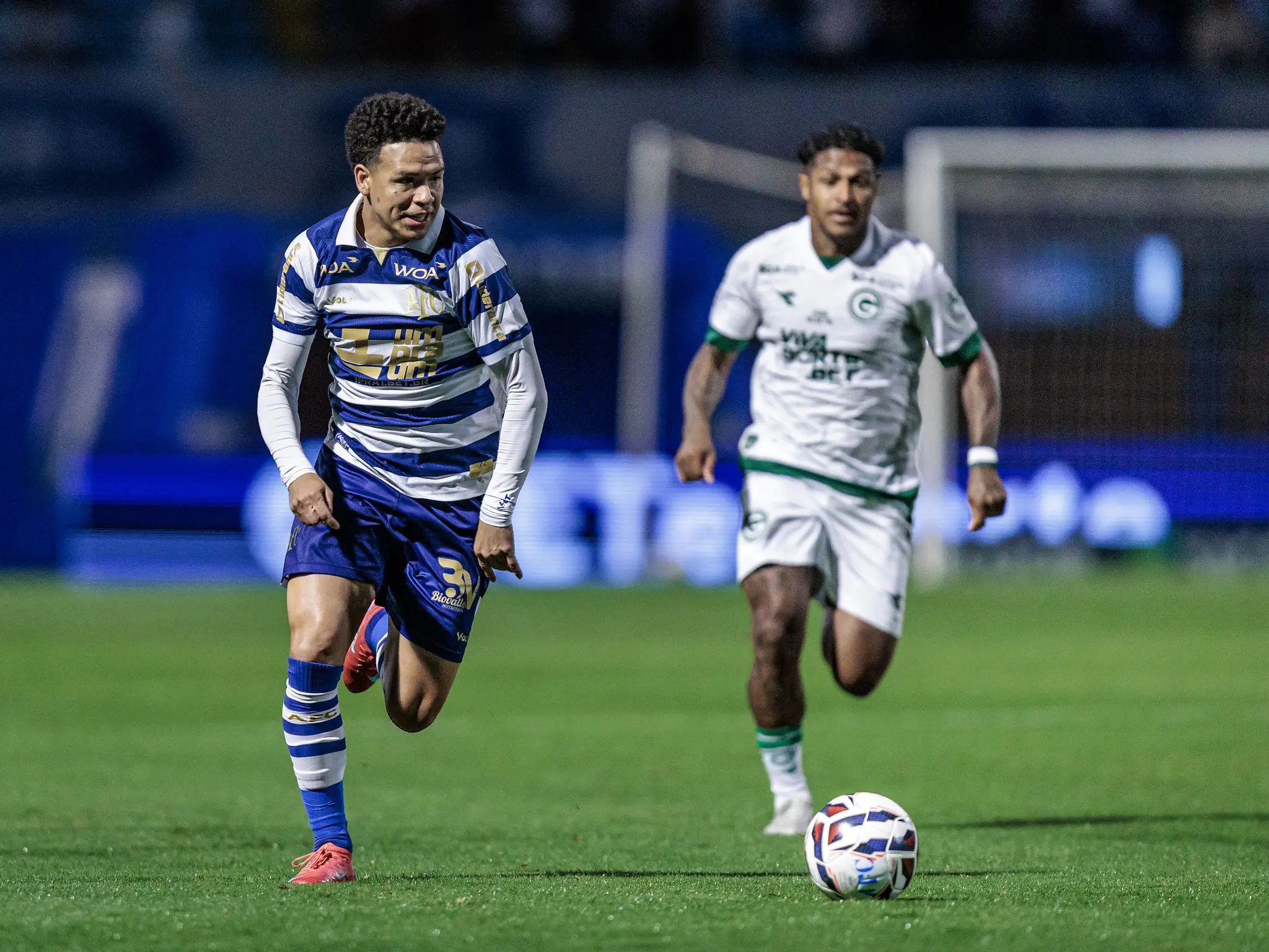 54776191080_dc1ed65957_k