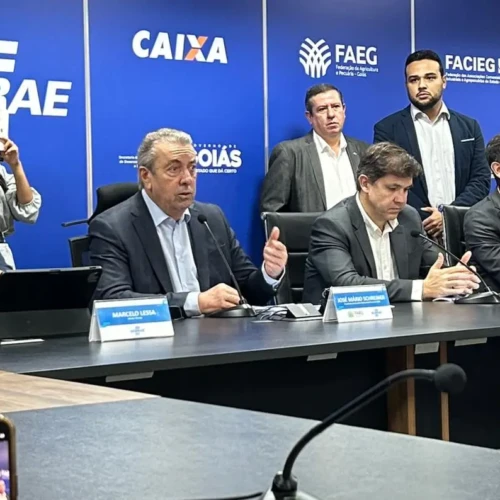 Sebrae Goiás supera 2,1 milhões de atendimentos e anuncia foco em exportação em 2026