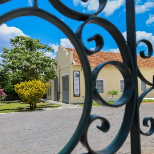 Confira funcionamento dos espaços culturais e de lazer no período natalino - Foto Secult Goiás