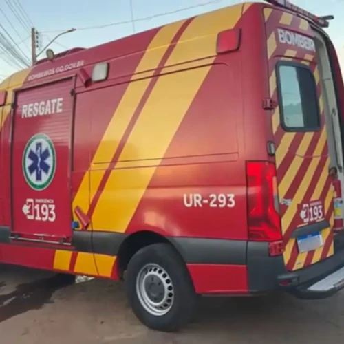 Homem morre após ataque de marimbondos em Aparecida de Goiânia