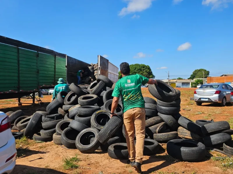 WhatsApp Image 2026-01-07 at 14.31.38