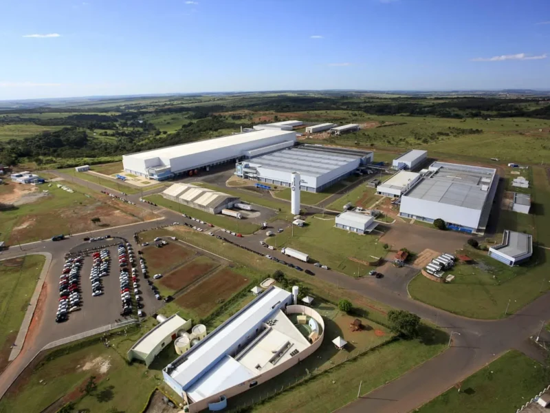 WhatsApp Image 2026-01-08 at 11.54.38