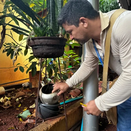 Prefeitura de Goiânia reforça alerta para prevenção à dengue durante período chuvoso
