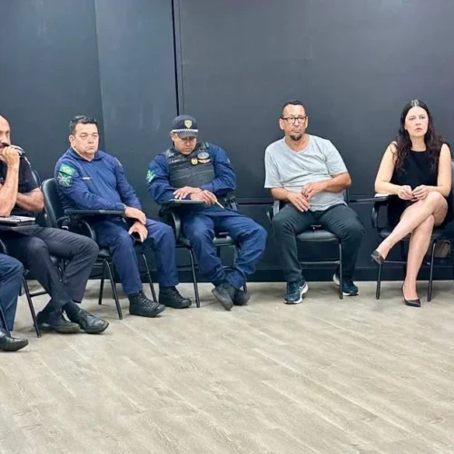 Carnaval em Goiânia