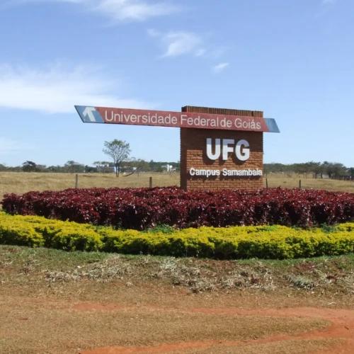 WhatsApp Image 2026-01-19 at 16.17.22