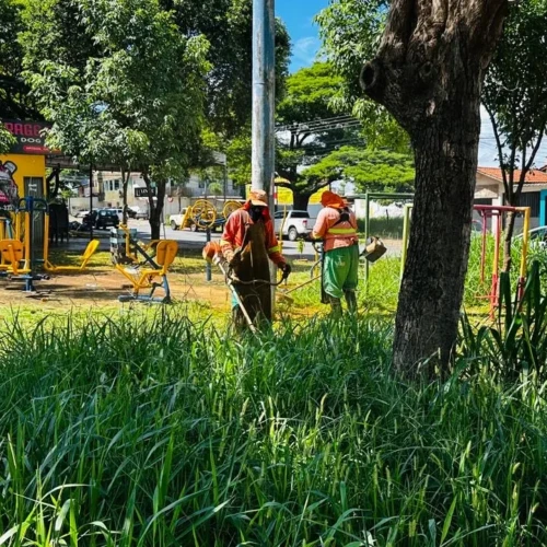 WhatsApp Image 2026-01-22 at 15.41.28