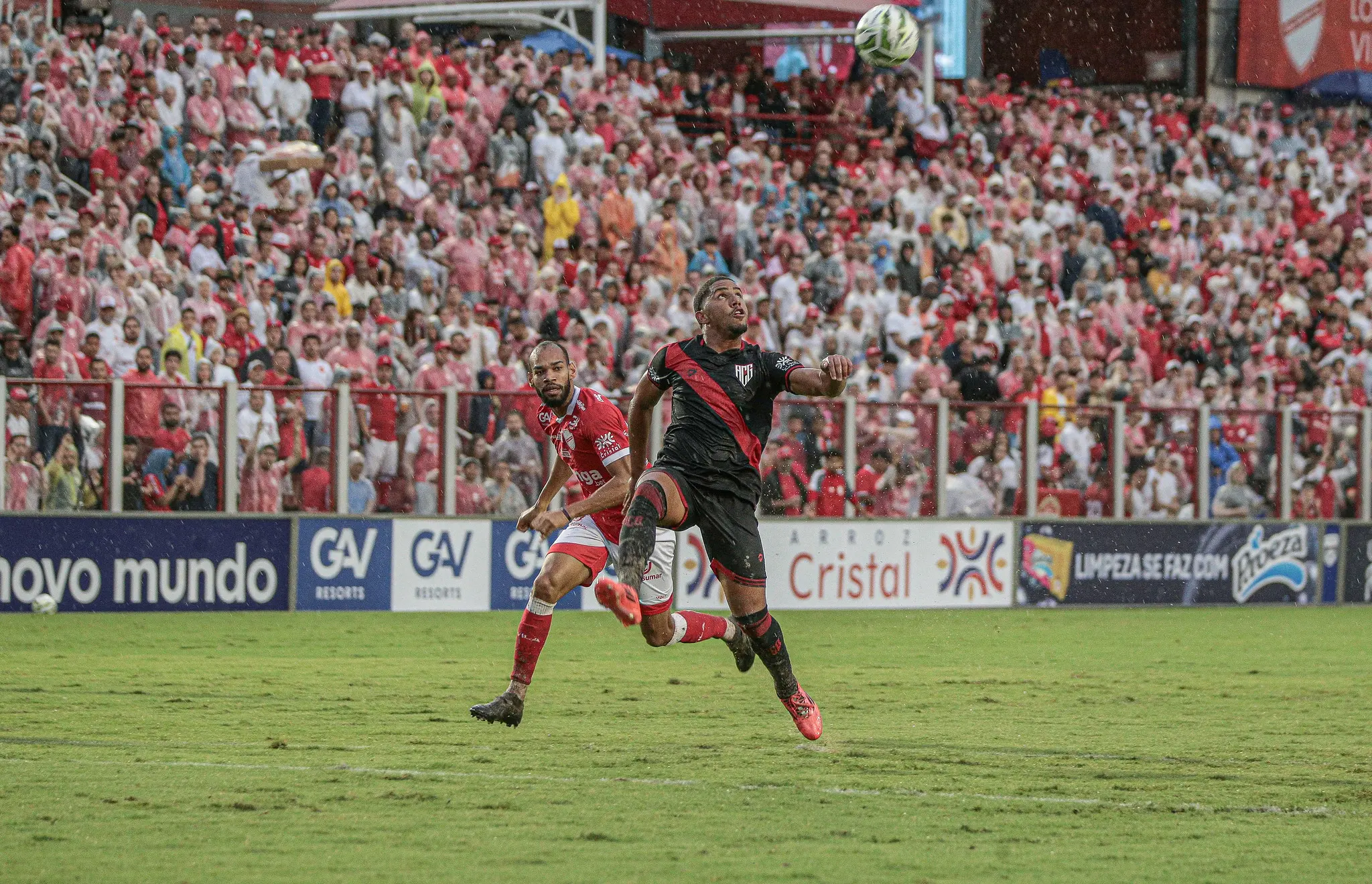 55060669901_a96db0d0de_k