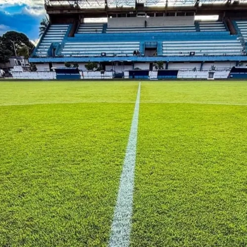 WhatsApp Image 2026-02-14 at 16.04.32