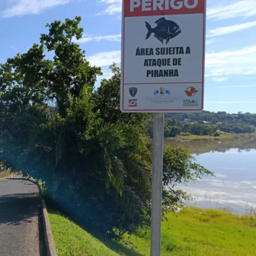 Bombeiros divulgaram vídeo para alertar sobre área de risco - Foto reprodução Portal Caldas