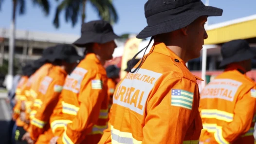 Operação Cerrado Vivo 2026 terá 180 brigadistas comunitários para reforçar combate a incêndios em Goiás (2)