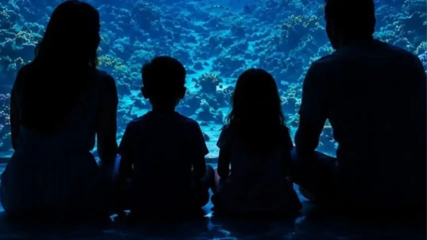 Sem sair de Goiás exposição inédita leva visitantes a uma viagem pelo fundo do mar
