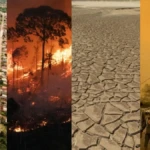 Ferramenta busca ajudar cidades nos diferentes níveis de risco de desastres climáticos - Fotomontagem reprodução - Greenpeace.org