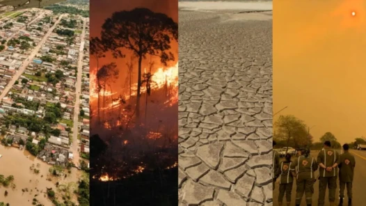 Ferramenta busca ajudar cidades nos diferentes níveis de risco de desastres climáticos - Fotomontagem reprodução - Greenpeace.org