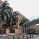 anvisa creatina