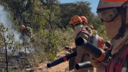 Governo de Goiás realiza queima controlada para prevenir incêndios em parques estaduais