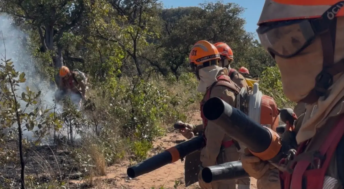 Goiás inicia queima controlada para evitar incêndios florestais