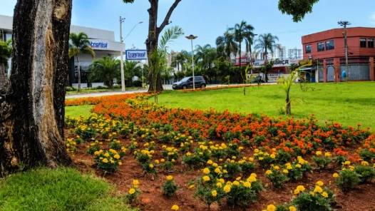 Revitalizada em 2024, Praça Ciro Lisita deve ser cortada ao meio e árvores transplantadas - Foto reprodução