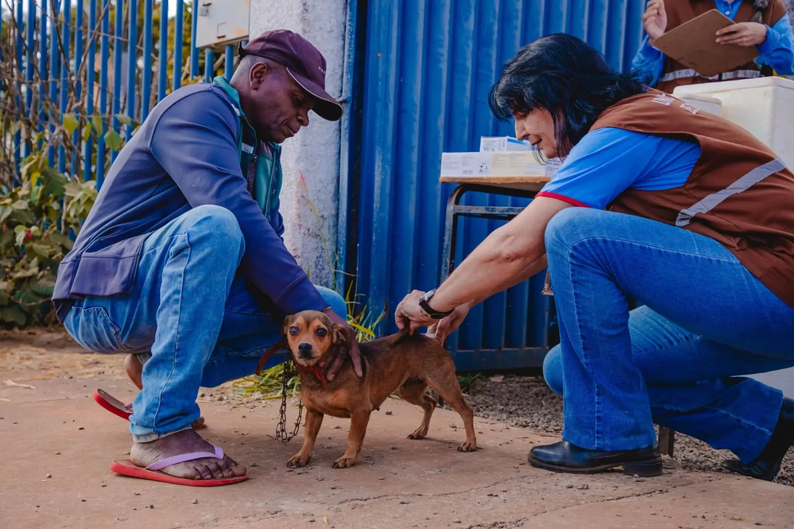 Anápolis oferece vacina antirrábica gratuita para cães e gatos neste sábado