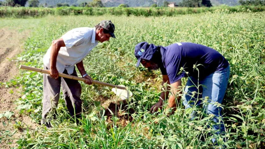 empregos agro