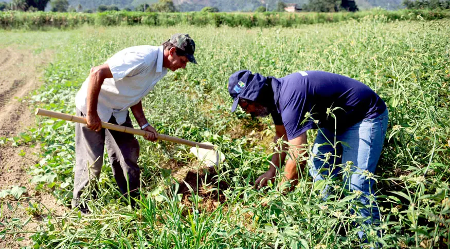 Goiás perde 2.742 empregos formais em maio