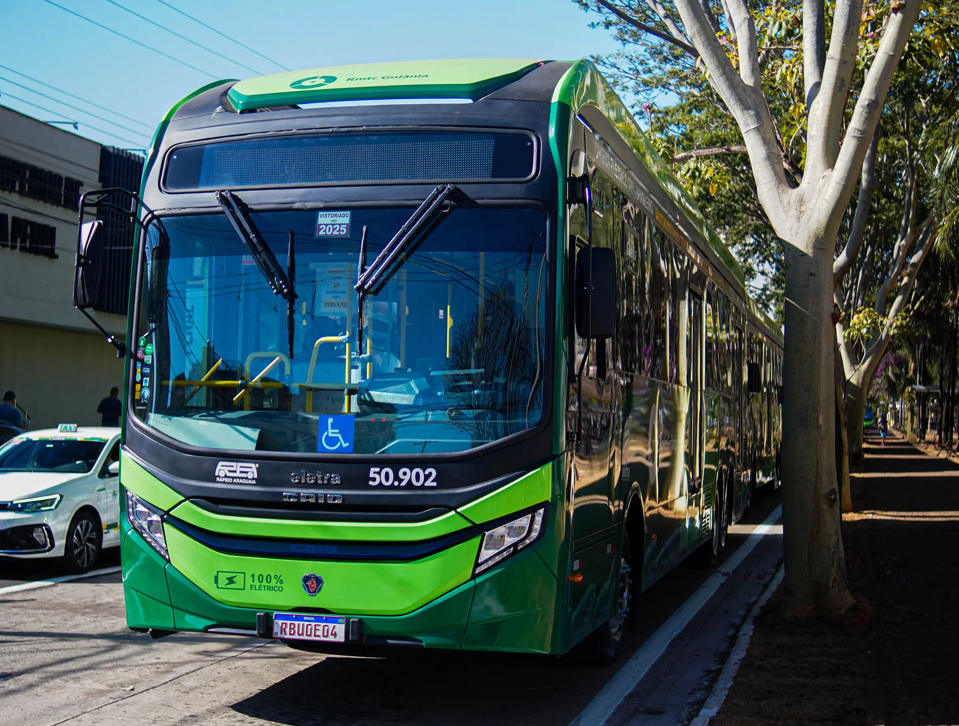 BRT Norte-Sul: 86% das árvores serão transplantadas em Goiânia